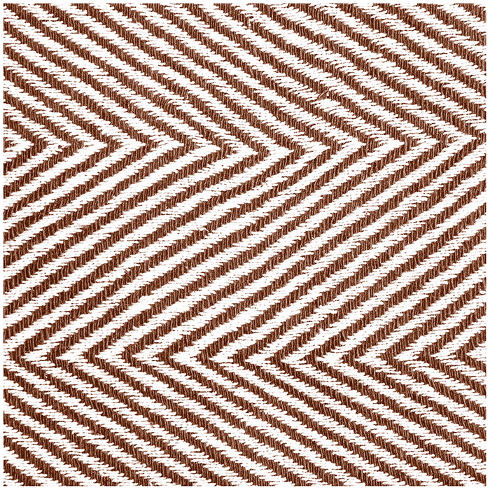 ���� ����������