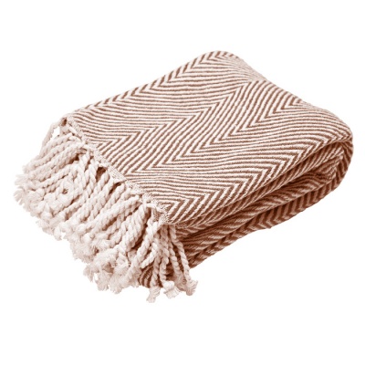 ���� ����������